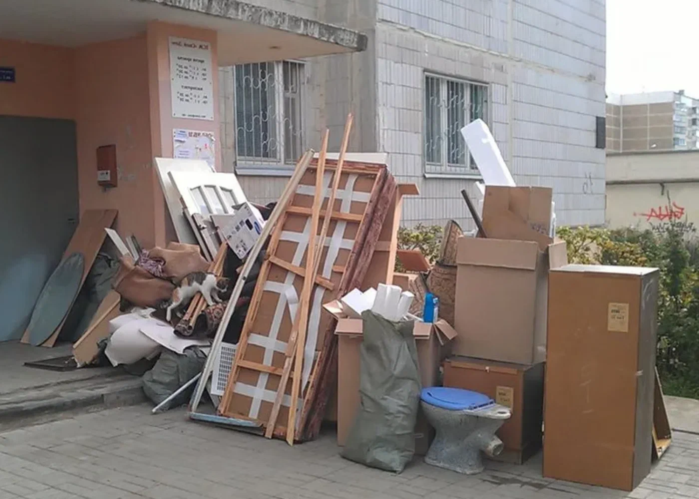 Профессиональный вывоз мусора из квартиры в Белебее в октябре