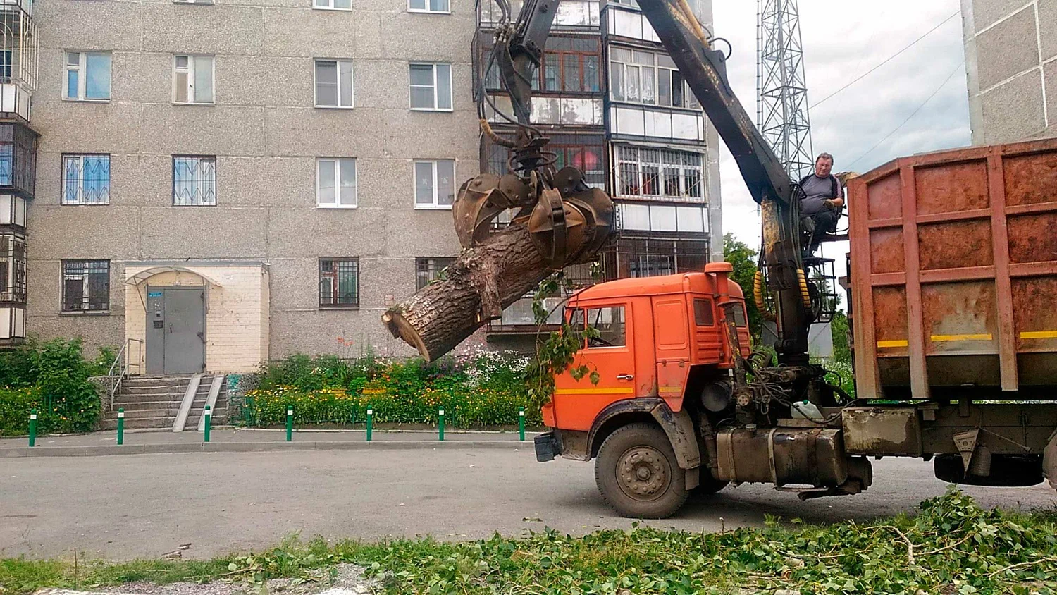 Вывоз спиленных веток и деревьев в Белебее от ПроМусор: порубочные остатки, утилизация, цена от 2958 руб