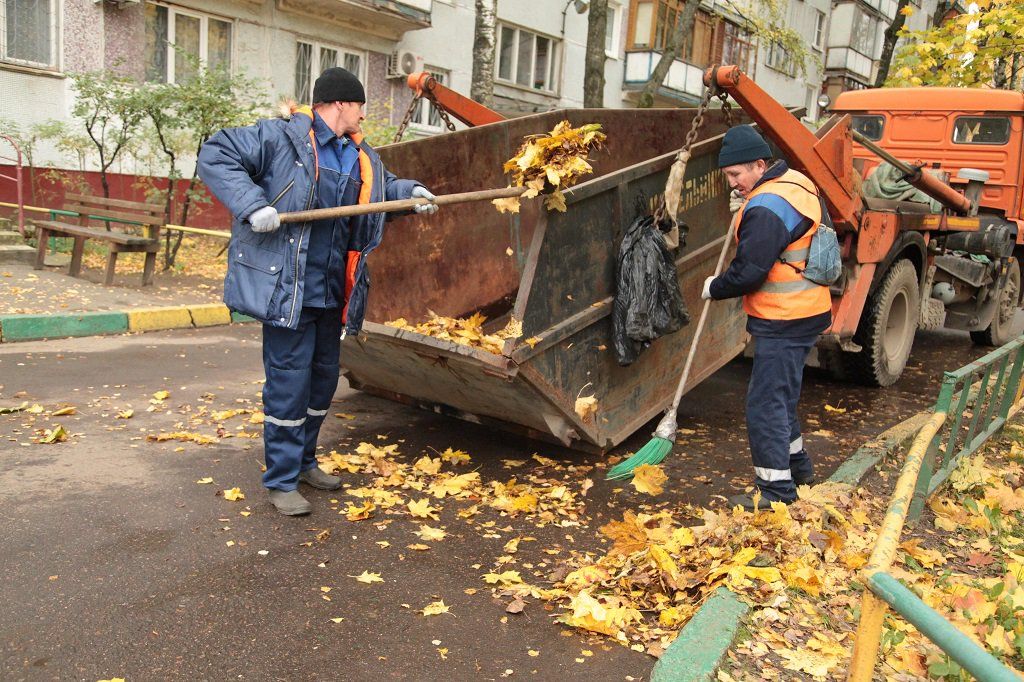 Вывоз опавшей листвы и растительного мусора в Белебее от ПроМусор – цена от 4590 руб., быстрая уборка и утилизация